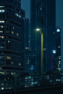 Anamorphia