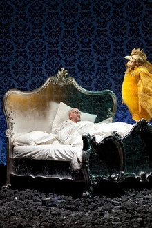 The Golden Cockerel