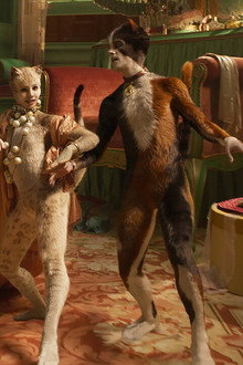 Кошки