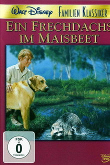 Rascal - Ein Frechdachs im Maisbeet