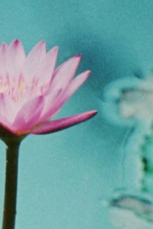The Gardener of Eden