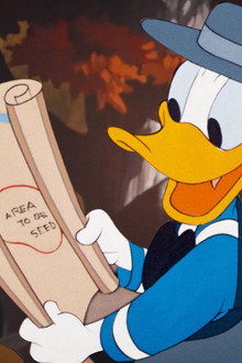 Duck Flies Coop