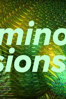 Luminous Visions