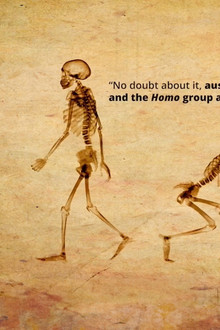 Dismantled: A Scientific Deconstruction of The Theory of Evolution