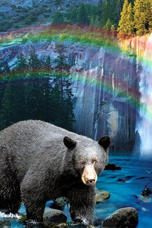 Yosemite: America's Treasure