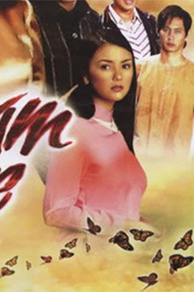 Vietnam Rose