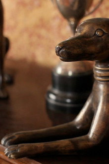 Hounds
