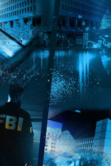 FEDS