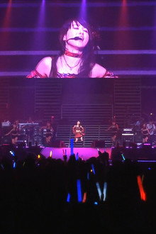 Animelo Summer Live 2008 -Challenge- 8.31
