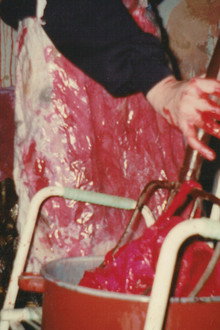 Horror Maniacs: I Want to See Pigblood!