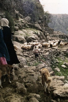 People of the Wind