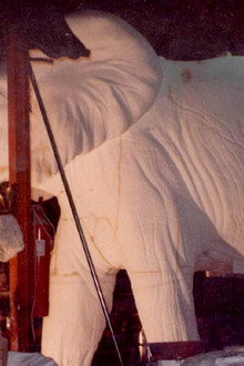 El elefante del rey