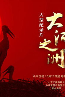 大河之洲