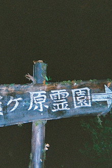 口に関するアンケート