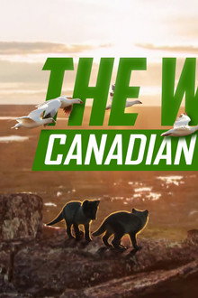 The Wild Canadian Year