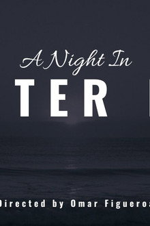 A Night in Oyster Bay