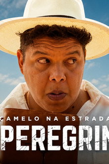 Camelo na Estrada