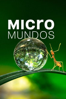 Micromundos