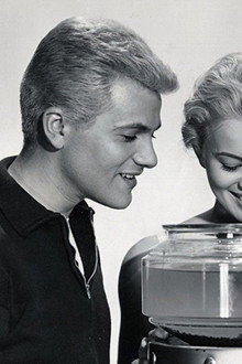 Love in a Goldfish Bowl