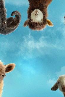 The Sheep Detectives