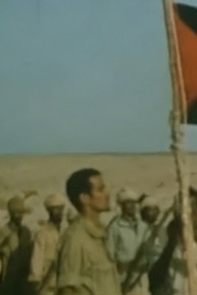Los Reporteros: El Frente Polisario