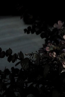 La Flor