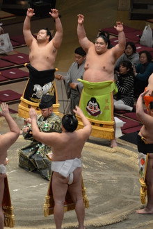 日本大相撲トーナメント