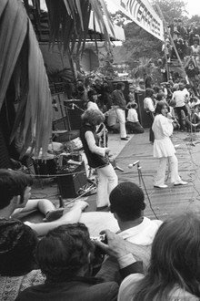 The Stones in the Park