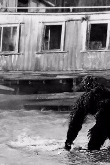 Return to Boggy Creek