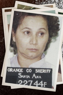 Narco Wars: Queenpins