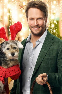 Picture a Perfect Christmas