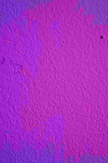 a tiny bug crawls across a wall