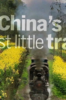China's Last Little Train