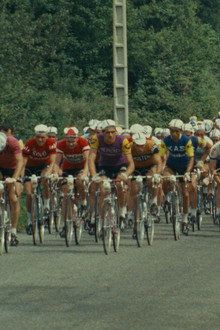 ...pour un maillot jaune