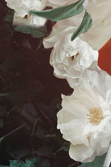开到荼靡