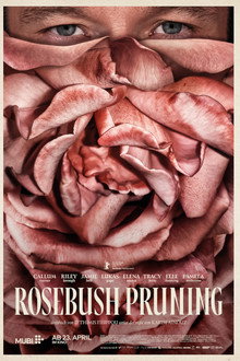 Rosebush Pruning