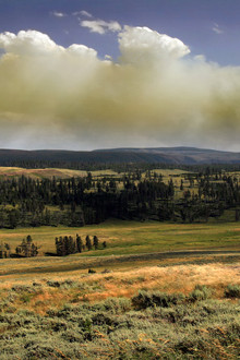 National Parks Exploration Series: Yellowstone