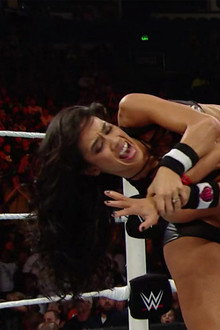 WWE Night of Champions 2014
