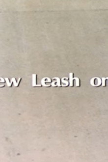 A New Leash On Life