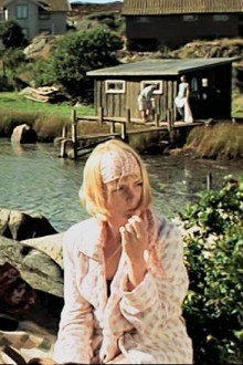 Syndare i sommarsol