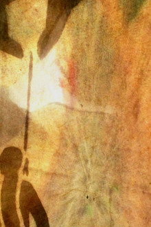 Fields of Presence