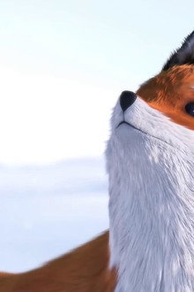 A Fox and a Mouse