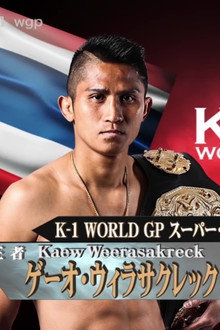 K-1 WORLD GP 2017 JAPAN ~第2代スーパー・ウェルター級王座決定トーナメント~