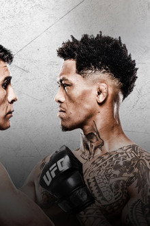 UFC Fight Night 266: Баутиста vs. Оливейра