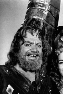 The Vikings