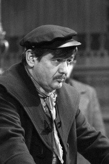 Bratři Kipové
