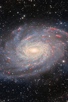 The Character of Physical Law