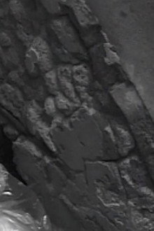 Il Mosè di Michelangelo