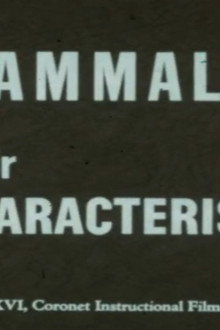 Mammals and Their Characteristics