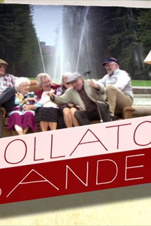 Rollator Banden